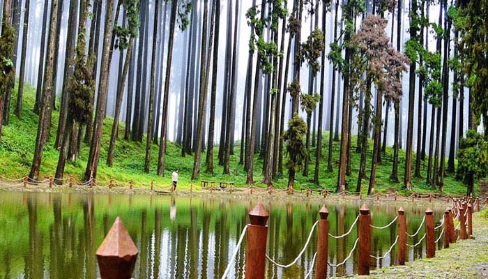 Lamahatta- Shiwani Homestay