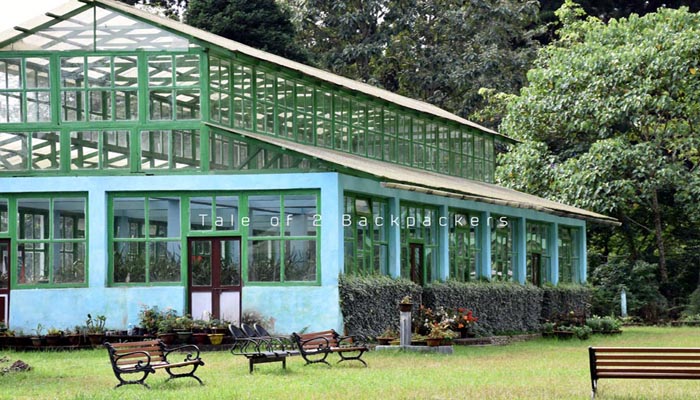 Takdah Orchid Centre-Shiwani Homestay- Takdah, Darjeeling