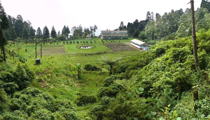 Takdah Tourist Place- Shiwani Homestay